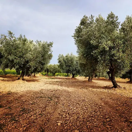 La Era De Pepe Casa rural