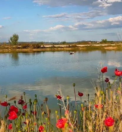 La Era De Pepe * Calaceite