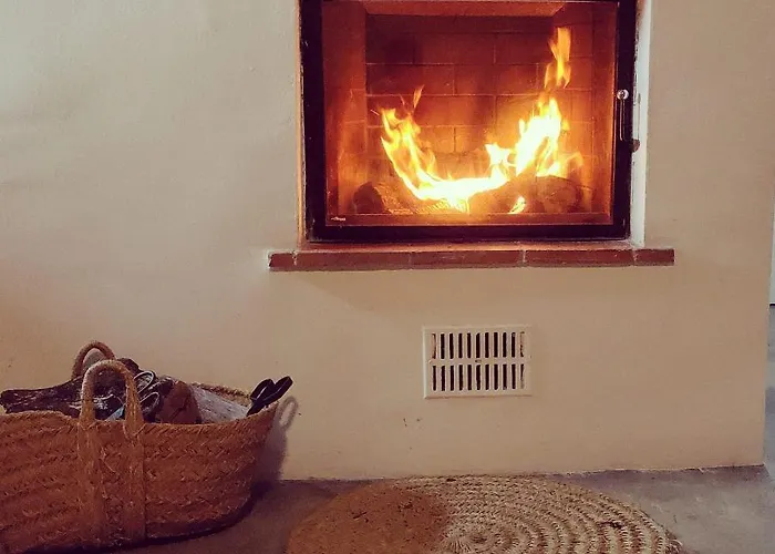 Lantställe La Era De Pepe *