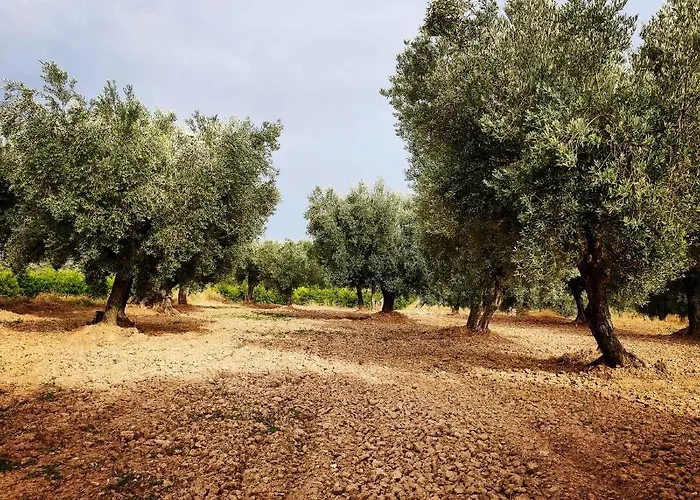 La Era De Pepe Lantställe