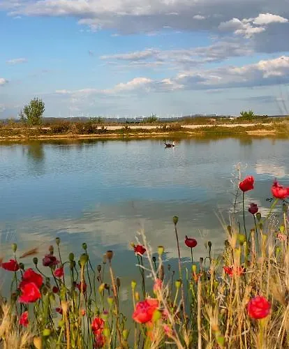 La Era De Pepe * Calaceite